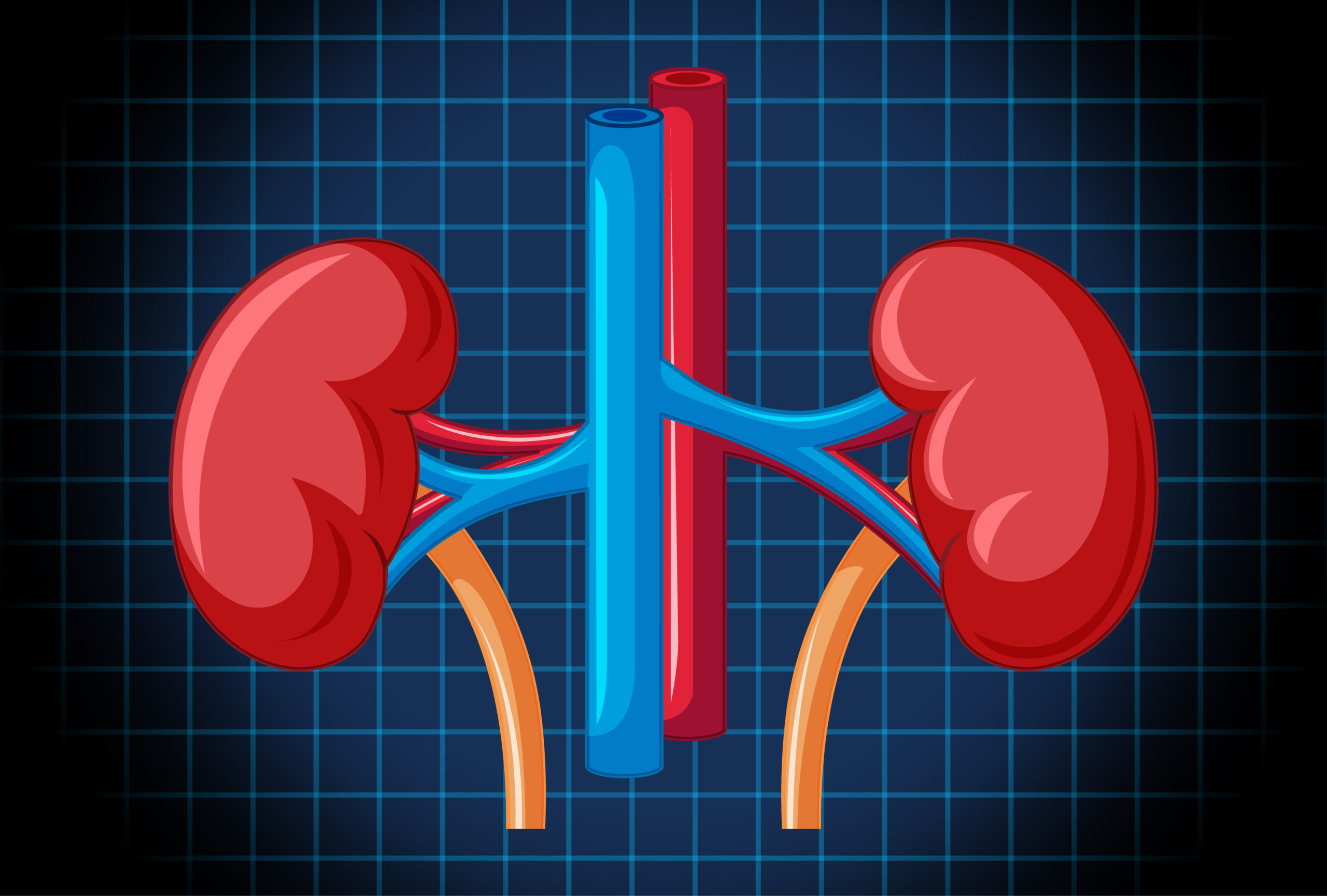 5 Ways to Keep Your Kidneys Healthy